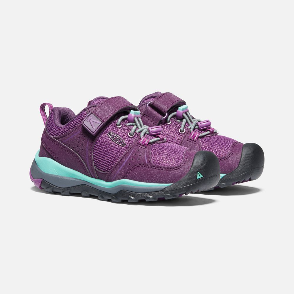 Baskets Keen Enfant Violette | Terradora Ii Sport Vent Shoes | BPLAJ-6502